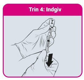 Indgiv